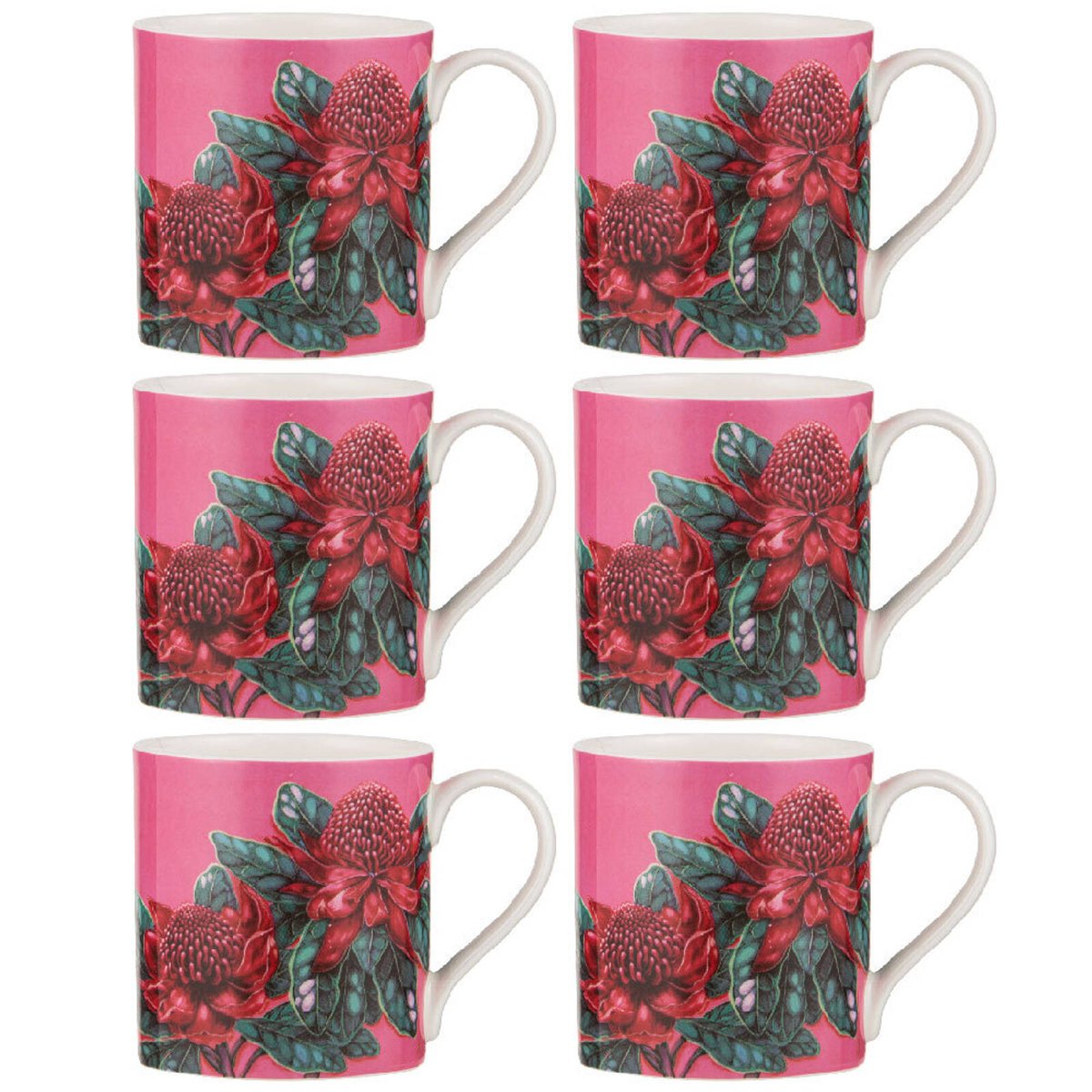 6PK Ashdene Native Flora Waratah Fine Bone China Drinking Cup Mug