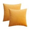 Catzon 2 Pcs Square Throw Pillow Covers Solid Soft Velvet for Spring Sofa-Yellow