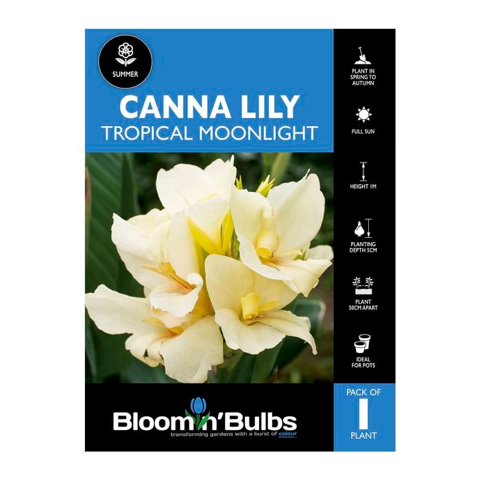 Bloomin' Bulbs Canna Lily - Tropical Moonlight 1 Pack