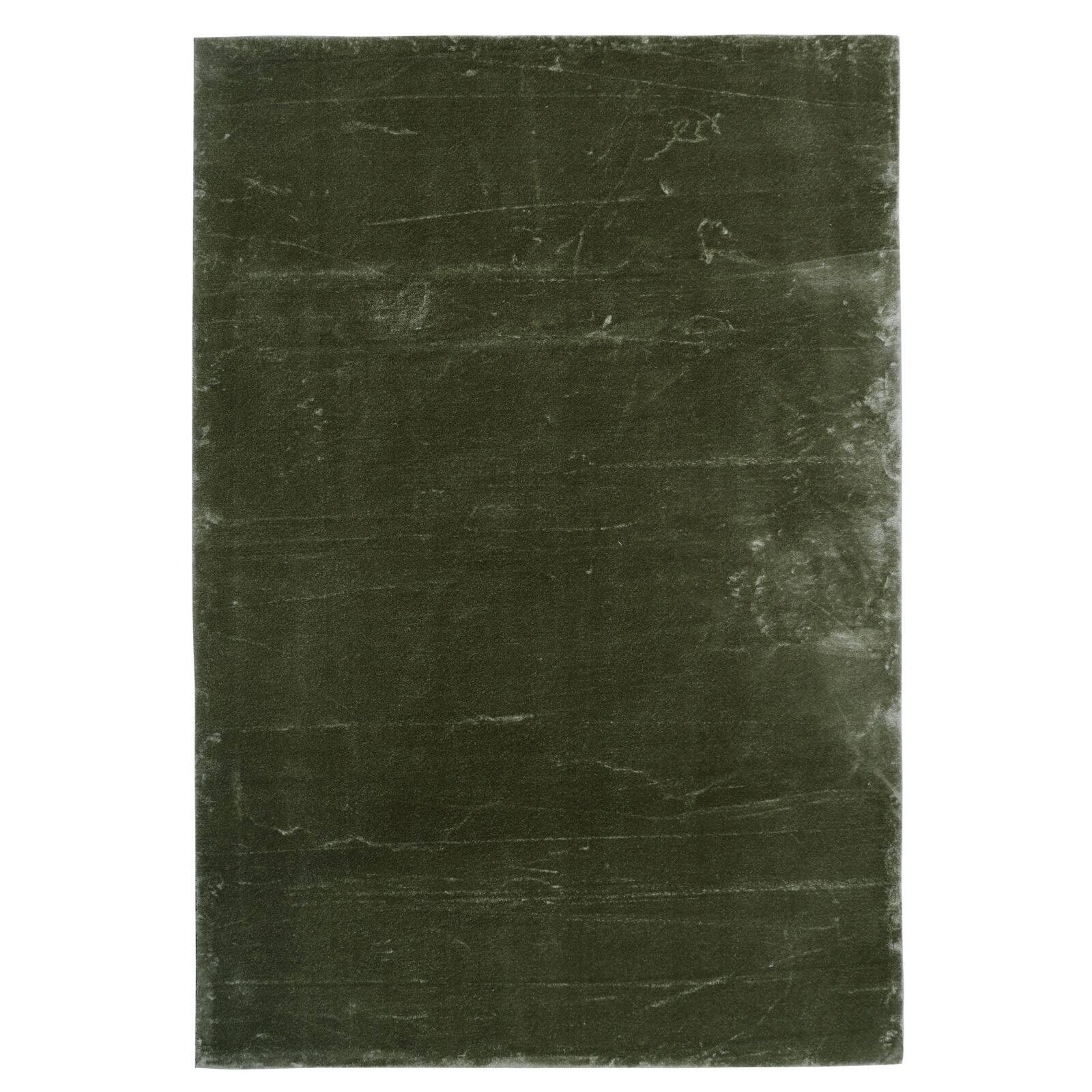 Monaco 200 x 300cm Sage Rug