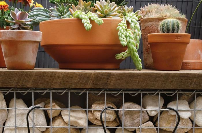 A completed gambion potting bench with trowel and stainless steel watering can