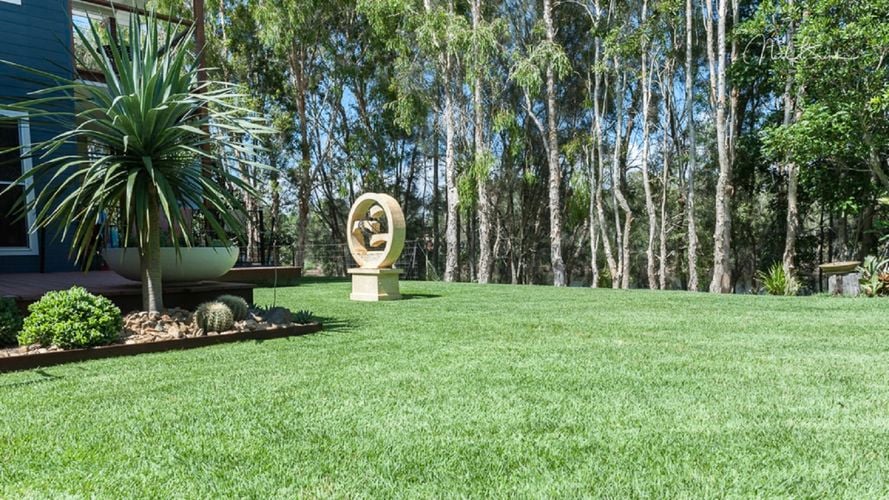A semi rural house backyard lawn.