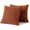 Catzon 2 Pcs Throw Pillow Covers Soft Striped Corduroy Cushion Case for Couch 50X50cm-Brick Red