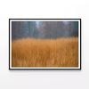 Grass in the Forest in Cloudy  Print 100% Australian Made 120x90cm  (Poster)