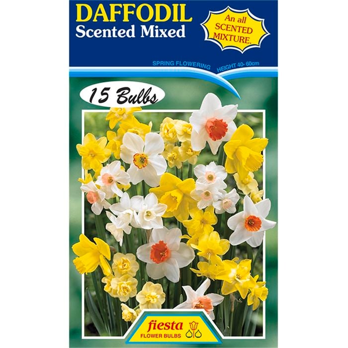 Daffodil Scented Mixed - 15 Bulbs