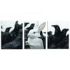 3pcs White rabbit, crow Animal Art Painting Print 100% Australian Made 3 x 40x60cm (Metal Print)