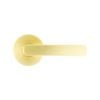 Ikonic Brushed Brass San Fran Dummy Lever