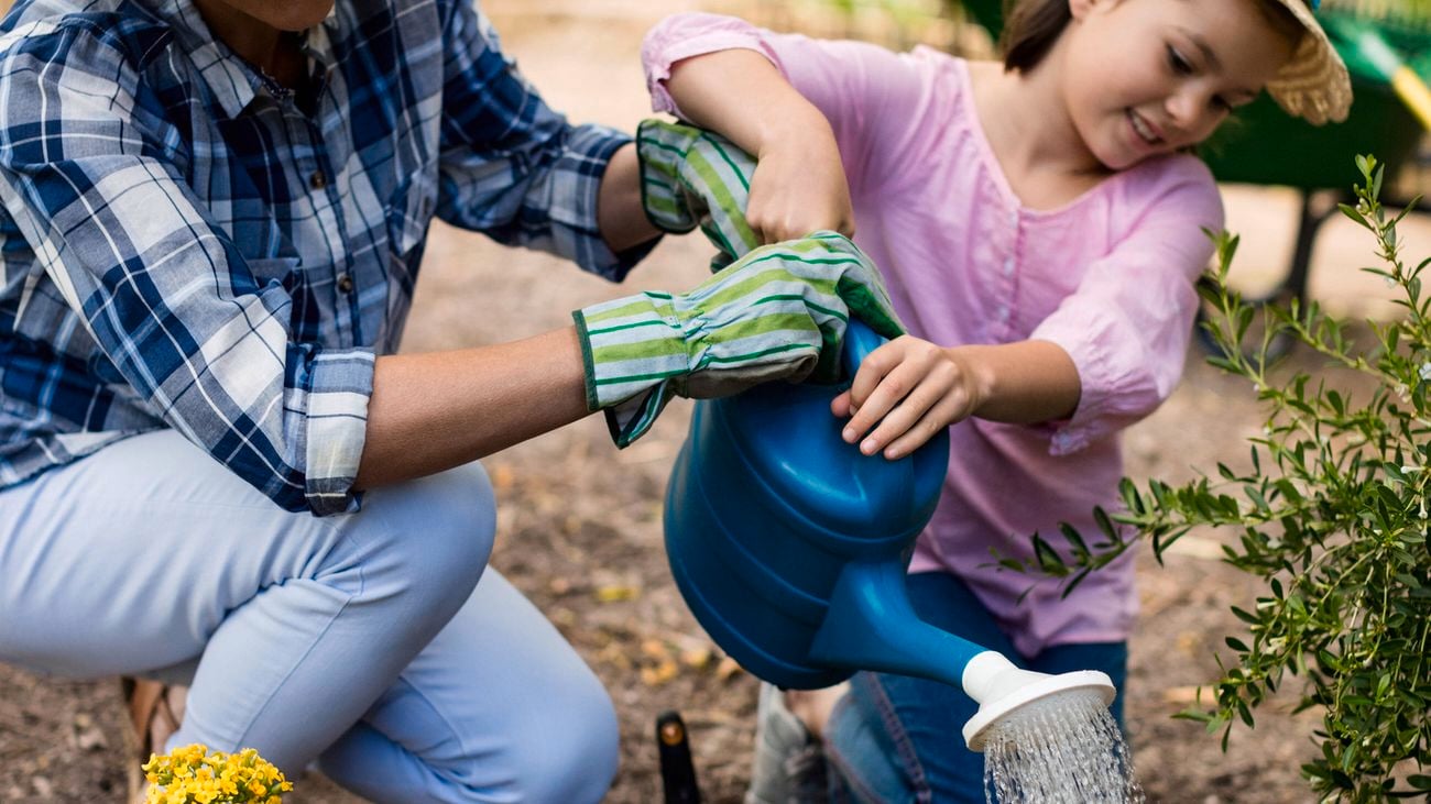 An adult and a young child wearing sun hats and gardening gloves water flowering plants together in a garden bed, pouring water from a blue watering can