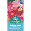 Fothergill's Pyrethrum Large Flower Seeds