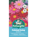 Fothergill's Pyrethrum Large Flower Seeds