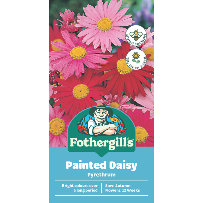 Fothergill's Pyrethrum Large Flower Seeds