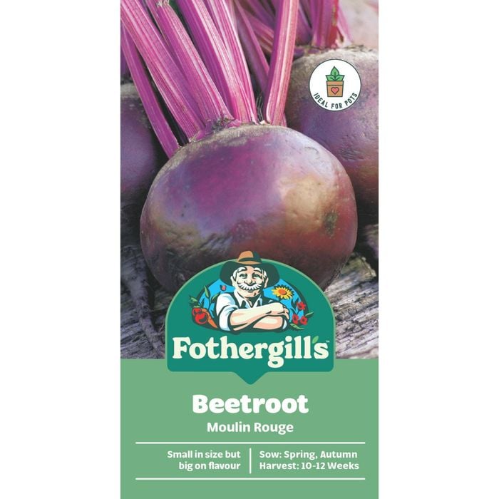 Fothergill's Moulin Rouge Beetroot Vegetable Seed