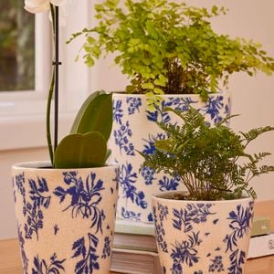 Chinoiserie pots on table
