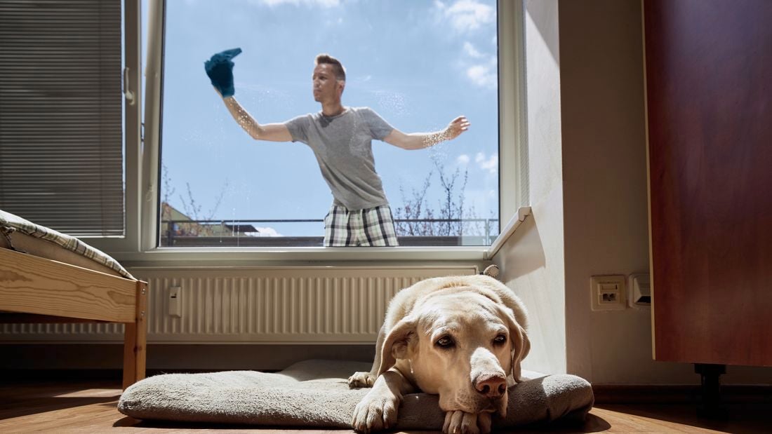 Inside view of a person cleaning a window on the outside