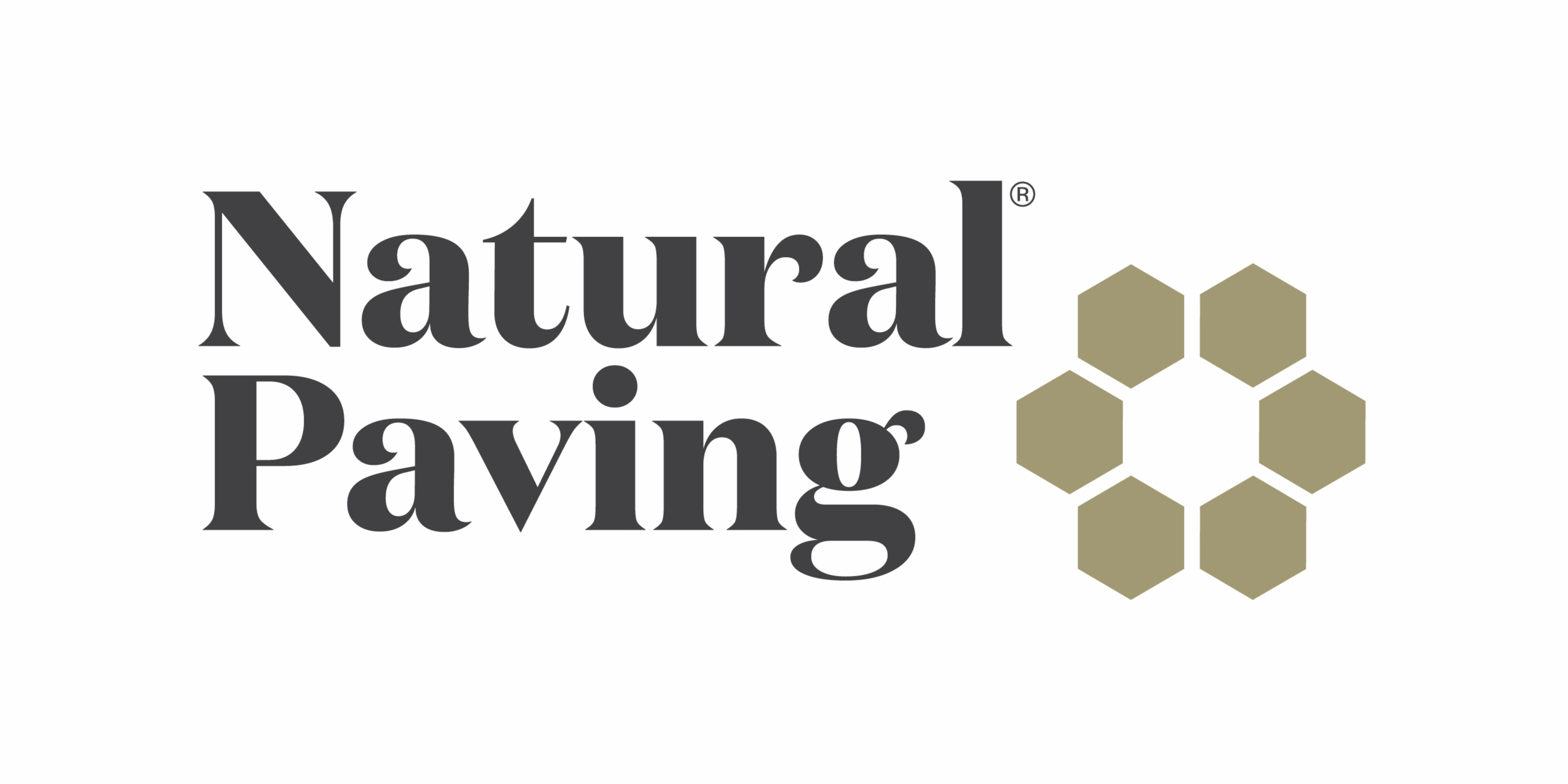Natural Paving logo
