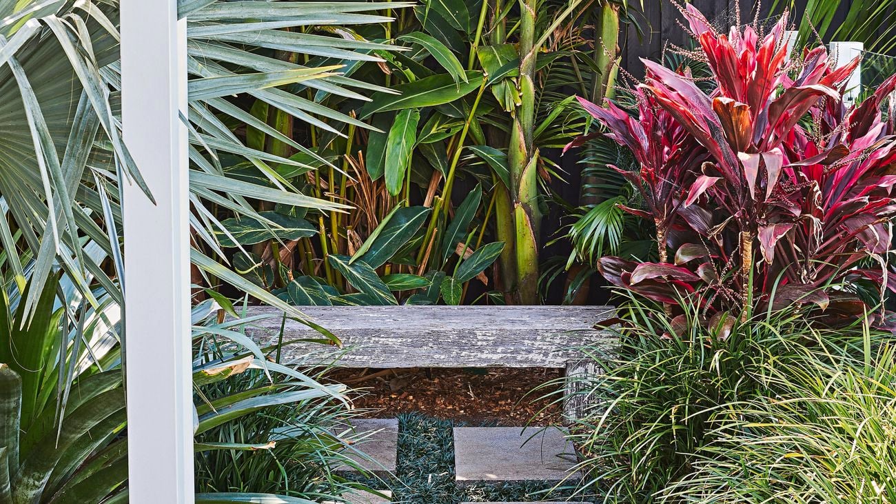 Backyard garden with stepping stones surrounded by tall plants.