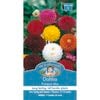 Mr Fothergill's Dahlia Pompon Mix Seeds