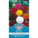 Mr Fothergill's Dahlia Pompon Mix Seeds