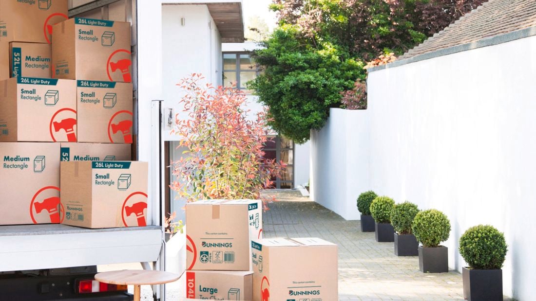 Moving boxes in bunnings colourway