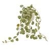 UN-REAL 36cm Green Chain Of Hearts Artificial Plant