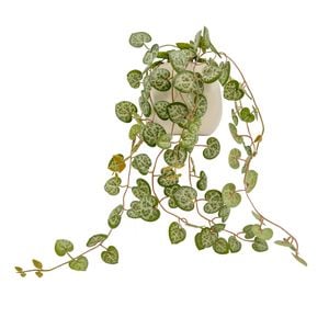 UN-REAL 36cm Green Chain Of Hearts Artificial Plant