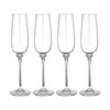 4pc Tempa Quinn Champagne Glass
