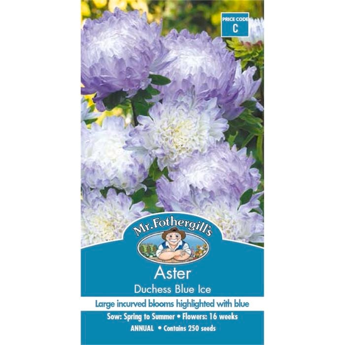 Mr Fothergill's Aster Duchess Blue Ice Seeds