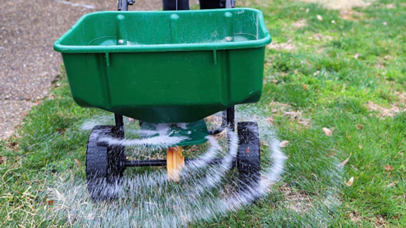 A seed and fertiliser spreader sprinkling seeds on a lawn.
