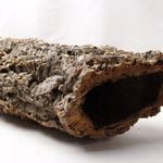 Cork Bark Hollow Medium Natural Terrarium Hide & Climbing Surface