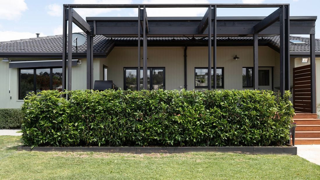 A neatly trimmed green hedge 