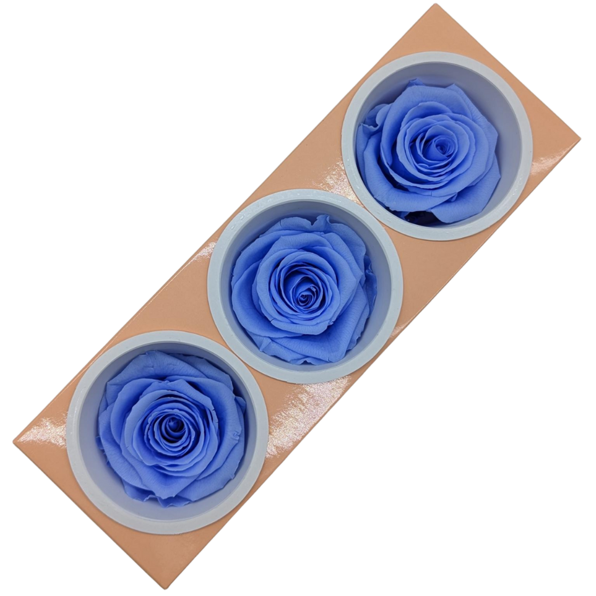 Blooms of Joy 6cm Sky Blue Preserved Rose 3 Pack - Bunnings Australia