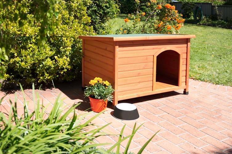 The Pinnacle 'Shack' dog kennel.