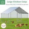 Costway Large Walk-in Chicken Coops Outdoor Pet Enclosure 2x3x1.95m