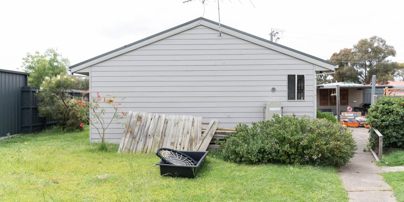 Before shot of a drab backyard with a lawn, shrubs and fence pailings.
