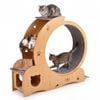 Advwin All-in-one Cat Exercise Wheel Cat Treadmill with Cat Bed Scratching Board Food Bowl