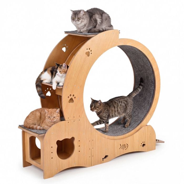 Advwin All-in-one Cat Exercise Wheel Cat Treadmill with Cat Bed Scratching Board Food Bowl