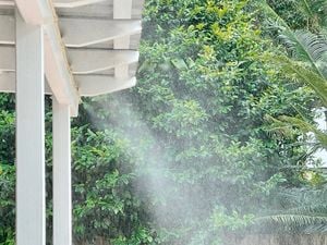 Mist on roof with fence and tree in background