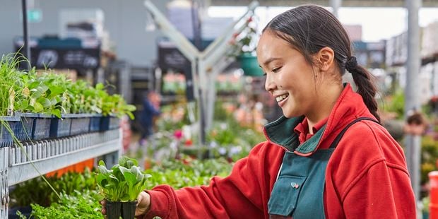 team member in nursery holding plant seedling