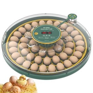 Advwin 52 Egg Incubator Automatic Egg Turner Egg Candler