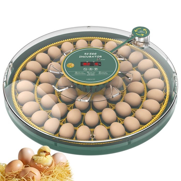 Advwin 52 Egg Incubator Automatic Egg Turner Egg Candler