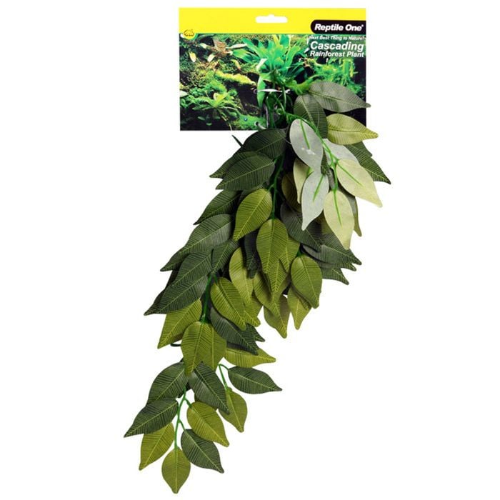 Reptile One Varigated Ivy Cascading Plant Green 40cm (46769)