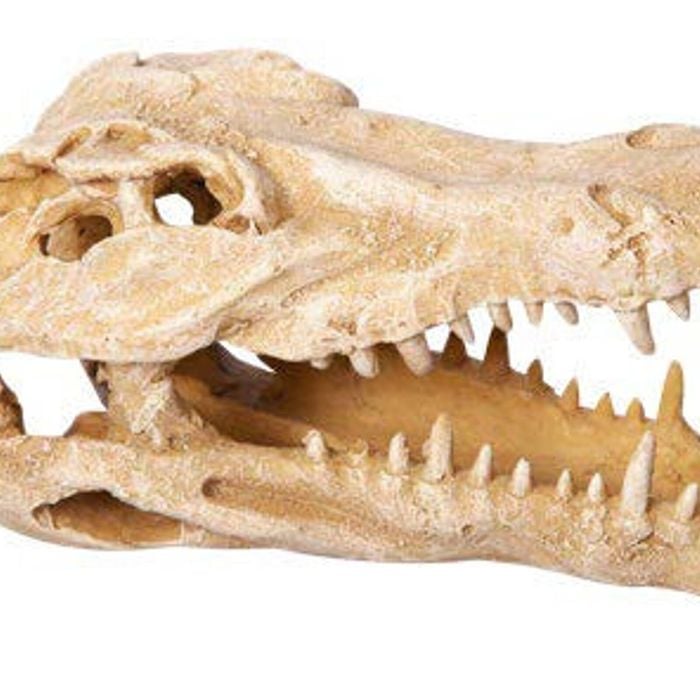 Aqua One Crocodile Skull Ornament 11x23x14cm (37485)