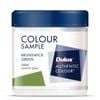 Dulux 250ml Brunswick Green Sample Pot - Brunswick Green