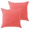 Bianca Pair of Vivid Coordinate Euro Pillowcases Melon 65 x 65 cm