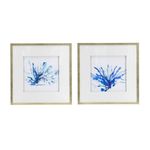 Set of 2 Hamptons Blue Coral Framed Prints Wall Art