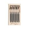Laguiole Jean Neron 6pc. Coffee Spoon Set - Black