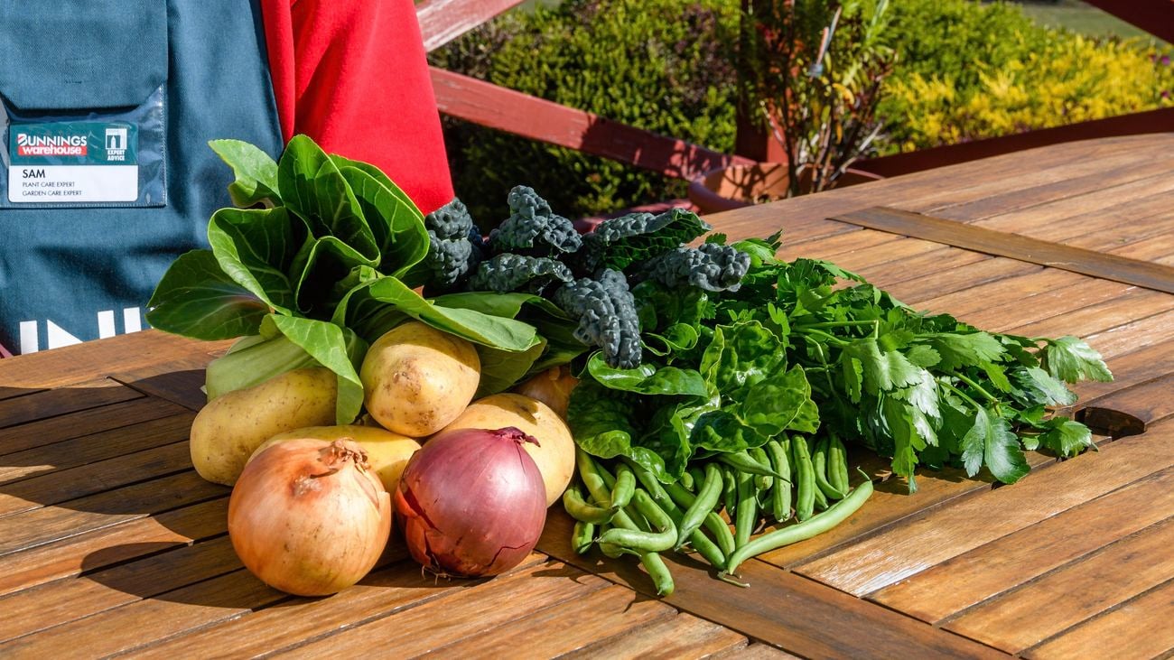 Close up of a vegetable harvest
