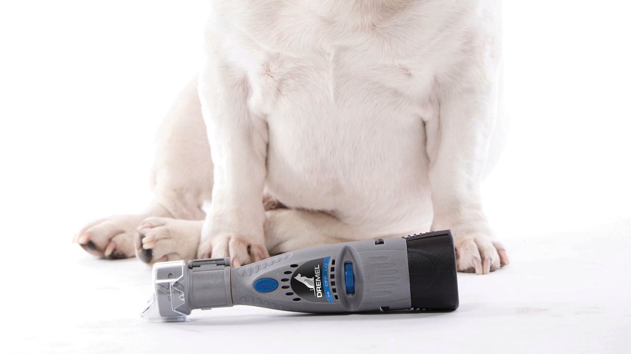 A dog sits behind a Dremel 7020 Pet Grooming nail trimmer
