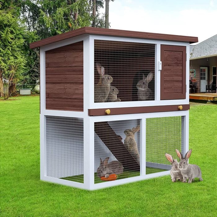 Rabbit playpen bunnings best sale
