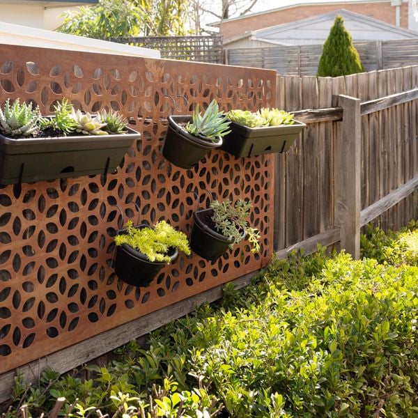 Vertical garden featuring succulents.